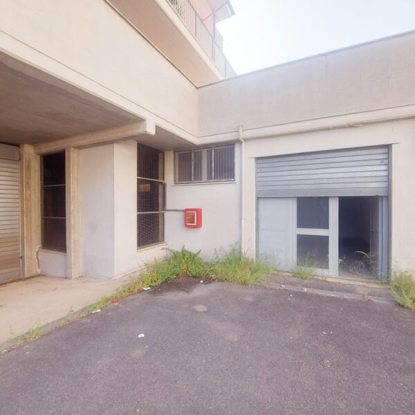Vendita Magazzino - Deposito (Cerveteri ) - immagine 15