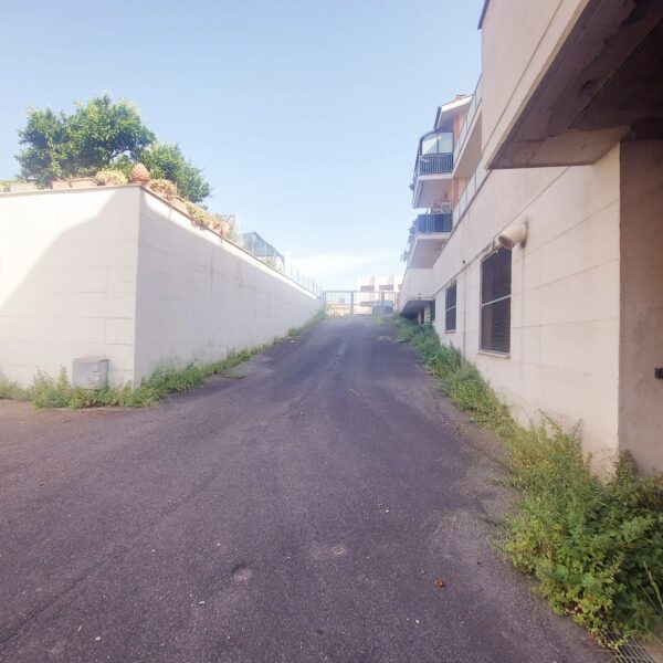 Vendita Magazzino - Deposito (Cerveteri ) - immagine 12