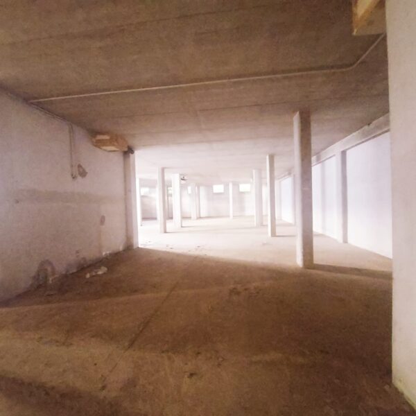 Vendita Magazzino - Deposito (Cerveteri ) - immagine 5